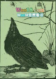 三十以内手机壳